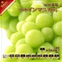 【ふるさと納税】長野県産 シャインマスカット 約1kg 送料込11,000円→実質2,000円【本日楽天カード4倍】 3 picttmp 5463