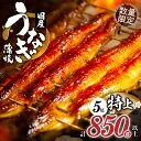 【ふるさと納税】国産 うなぎ蒲焼 5尾入 850g以上 送料込27,000円→実質2,000円 送料無料【本日楽天カード4倍】 1 picttmp 5471